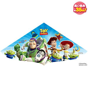 LN^[JCg gCEXg[[ R-5 ti///Lv/AEghAW[j000042840