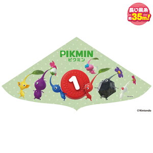 LN^[JCg sN~/PIKMIN ti///Lv/AEghAW[j000042900