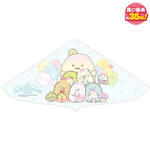 LN^[JCg ݂R炵i҂p[NjR-5 ti///Lv/AEghAW[j000933350