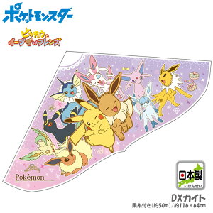 LN^[JCg |PbgX^[ C[utY DXJCgiQCJCg//{//Lv/W[/I_j022909