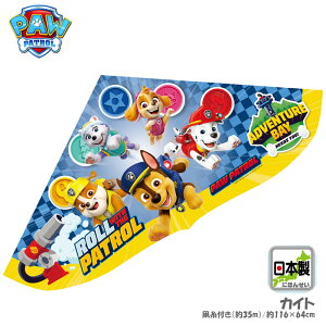 LN^[JCg pEEpg[ [WTCYiQCJCg//{//I_j022947