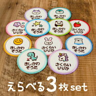 【4/20限定★P5倍】《受賞店舗》大きめ お名前ワッペン 3枚 名前刺繍 アップリケ ひらがな ローマ字 入園…