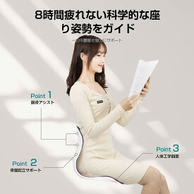 姿勢サポート 椅子 骨盤 チェア 骨盤から腰をサポート 高反発メモリー綿 腰当て 姿勢補正 クッション 軽量 持ち運び簡単 椅 子や床に置いて座るだけ 猫背改善 腰が痛くならない オフィス テレワーク 女性 男性 学生 両親ギフト最適 (ブラック)