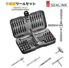 【1位受賞】ラチェットドライバーセット S2鋼製 磁気マグネット式ビット 差替式 工具セット 多種選べるセット内容 (24in1/40in1/66in1) マイナス プラス 六星ドライバー 家庭用 PC 自転車 家電修理に最適