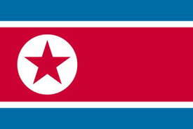 国旗タトゥーシリーズ　北朝鮮