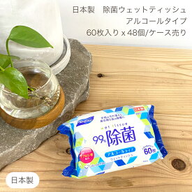 即納OK! アルコール 除菌 ウエットティッシュ 60枚x48個 携帯用 携帯 ポケット