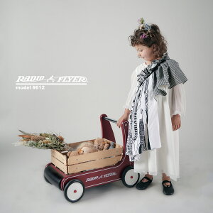 WItC[ S@NVbN EH[J[ S s xr[EH[J[ radioflyer classic walker wagon yKAiz@ꂩ甃ȂXp[L[