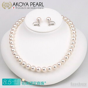 y10/31܂őSiP6{z ԎF^ lbNX Zbg y8.0-8.5mmz (sAX / COt) tH[}Zbg fB[X ۊǗpP[Xt  AR p[ Ԏ ^ Seashore V[