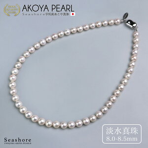 W^ lbNX 1A fB[X y8.0-8.5mmz SV925 v[gt p[ ۊǗpO[P[Xt Seashore V[VA Ǝ w Vv yz(6047)