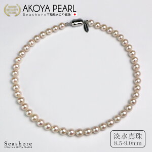 W^ lbNX 1A fB[X y8.5-9.0mmz SV925 v[gt p[ ۊǗpO[P[Xt Seashore V[VA Ǝ w Vv yz(6048)