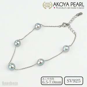 ^ Xe[V uXbg i`u[ O[ fB[X obNy6.5-7.0mmz v[gt ۊǗpO[P[Xt SV925 `F[ AR ^ p[ Vv 