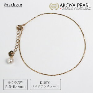 y12/13~15|CgobN Pő41{z ^ uXbg xl`A`F[ y5.5-6.0mmzK10YG v[gt ۊǗpO[P[Xt AR  ^  Vv i 