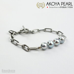 ^ }e 4 uXbg i`u[ O[ obNy8.0-8.5mmz v[gt ۊǗpP[Xt XeX AR ^ p[ WF_[X y