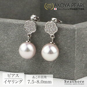 ^ CO sAX  t[ fB[X Vo[ SV925 zCg y7.5-8.0mmzp ۊǗpO[P[Xt AR  p[ ANZT[ Vv  v[g Seashore 