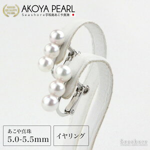 y11/20~ubNtCf[P5{z p[ 3A C COy5.0-5.5mmzSV925 3 ۊǗpP[Xt p AR  ^ ANZT[ Vv fB[X  킢 JWA