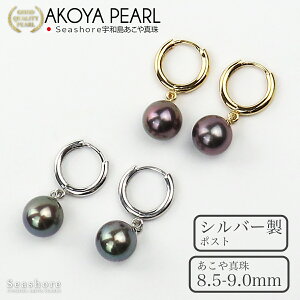 y10/31܂őSiP6{z ^ t[vsAX ^ fB[Xy8.5-9.0mmz SV925 ۊǗpO[P[Xt v[gt p AR ubN p[ 킢 v[g Seashore V