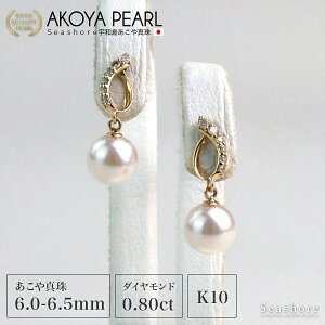 ^ sAX _Ch K10YGy6.0-6.5mmzv[gt ۊǗpP[Xt p zCg S[h AR  p[ hbv  fB[X Seashore V[VA ۊǗpO[P[X