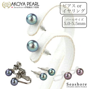 y10/31܂őSiP6{z ^ ubNp[ sAX CO mz[sAX ^ fB[X Vo[ ^J `^  ^ X^bh^Cvy5.0-5.5mmzp AR ^