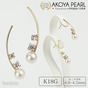 ^ sAX WRjA fB[X y4.0-4.5mmz K18G C p zCg S[h AR  p[ Seashore V[VA i ۊǗpO[P[Xt (4116)yz