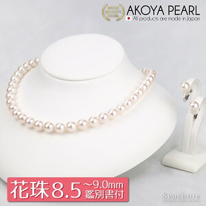 y10/31܂őSiP6{z  Ԏ^ lbNX Zbg fB[Xy8.5-9.0mmz ^ (sAX / COt) v[gt tH[} Ӓ菑 ۊǗpP[Xt  AR 