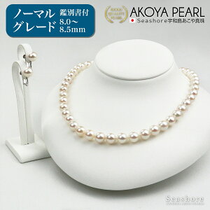 y10/4~SiP6{z ^ lbNX Zbg fB[X y8.0-8.5mmzym[}O[hz sAX / CO Z~Eh Z~obN v[gt Ӓ菑 ۊǗpP[Xt 