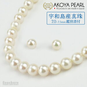 FaY^ lbNX 2_ Zbg fB[Xy7.0-7.5mmz AC{[ sAX / COt v[gt tH[} Ӓ菑 ۊǗpP[Xt  AR p[ ^ V[VA