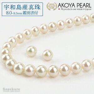 FaY^ lbNX 2_ Zbg fB[Xy8.0-8.5mmz AC{[ sAX / COt v[gt tH[} Ӓ菑 ۊǗpP[Xt  AR p[ ^ Seashore y