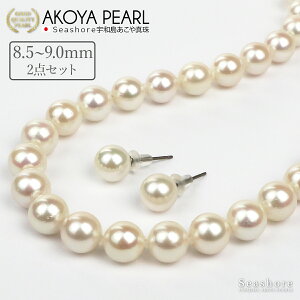 y11/20~ubNtCf[P5{z  ^ lbNX Zbg fB[Xy8.5-9.0mmz sAX / COt v[gt Ӓ菑 ۊǗpP[Xt  Fa  AR p[