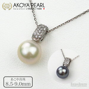 ^ lbNX o`J LL fB[X zCg 8.5-9.0mm ^ SV925 ^ zCg ubN ۊǗpO[P[Xt Fa AR p[ Seashore V[VA Iׂp[J