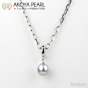 y10/31܂őSiP6{z ^ }e lbNX fB[X Y jZbNX i`u[ y9.5-10mmz F silver925 v[gt AR p[ P[Xt Seashor