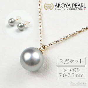 y10/4~SiP6{z p[ lbNX sAX / CO 2_Zbg ^ ꗱ O[ fB[Xy7.0-7.5mmzEhn ۊǗpP[Xt K10YG SV925 K14WG K18G AR Seashore V[V