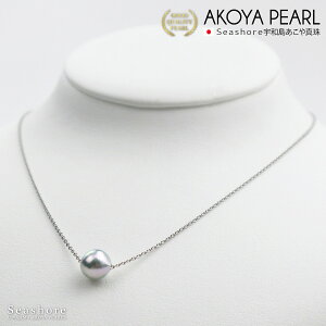 ^ X[ lbNX F i`u[ O[ y7.5-8.0mmzSV925 AWX^[t obN AR ^ p[ Vv v[g Seashore V[VA ۊǗpP[Xt