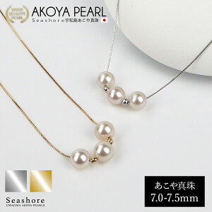 ^ 3 X[ lbNX fB[X y7.0-7.5mmz K18WG / K18G 0.6 xl`A`F[ v[gt AR  ^ v[g ۊǗpO[P[Xt Seashore V[VAy