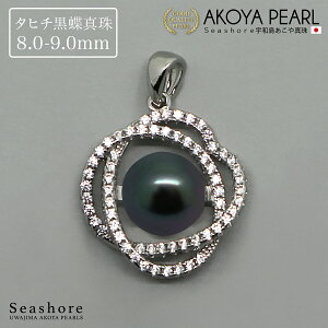 y10/4~SiP6{z ^q` ^ y_ggbv fB[X N[o[ v[gt y8.0mmUPzVo[ SV925 ^ ubNp[ p[ ۊǗpO[P[Xt Seashore V[V