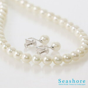 ^ lbNX Zbg F y8.5-9.0mmz sAX / CO tH[} fB[X Ӓ菑 ۊǗpP[Xt v[gt  AR p[ Seashore V[VAyi`