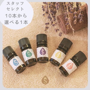 �X�^�b�t�������ߏ{�̃A���} 10��ނ���I�ׂ� 10ml �u�����h�A���} �V�R�A���} �������Z�b�g �V�R �u�����h�I�C�� ���� �A���}�G�b�Z���X �v���[���g ���x���_�[ �I�����W ���[�J�� �[���j