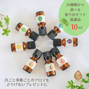 }X[uhA}  10ml a Mtg v[g A} A}IC GbZVIC uhIC uh A}GbZX  킢  蕨 