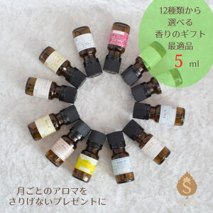 }X[uhA}  5ml a Mtg v[g A} A}IC GbZVIC uhIC uh A}GbZX  킢  蕨 