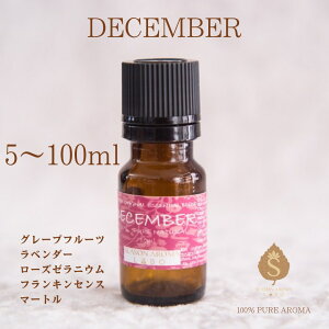 }X[uh 12 A}IC 5ml 10ml 30ml 50ml 100ml GbZVIC   a ̕i E Ԃ  Mtg / O[vt[c tLZX x_[ 