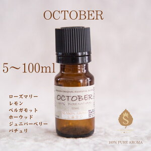 }X[uh 10 A}IC 5ml 10ml 30ml 50ml 100ml GbZVIC   a ̕i E Ԃ  Mtg / [Y}[  xKbg z[Ebh W