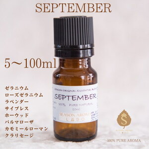 }X[uh9 A}IC 5ml 10ml 30ml 50ml 100ml GbZVIC   a ̕i E Ԃ  Mtg/ [jE [Y[jE ׃_[ TCv