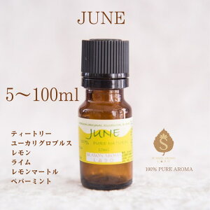 }X[uh 6 A}IC 5ml 10ml 30ml 50ml 100ml GbZVIC   a ̕i E Ԃ  Mtg / eB[g[ [JOuX  C 