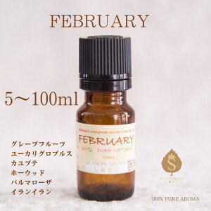 }X[uh2 A}IC 5ml 10ml 30ml 50ml 100ml GbZVIC   a ̕i E Ԃ  Mtg /O[vt[c [JOuX Jve z