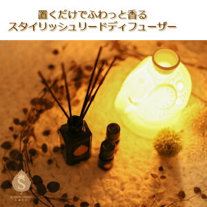 A}fBt[U[ XeBbN Zbg IWi{g XeBbN 17ނIׂ A} VR̍ fBt[U[p̃A} 50ml