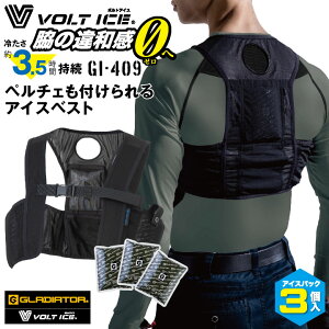 R[RX GLADIATOR ACXxXg ACXpbN3Zbg ۗ Mp΍ ΍ 󒲃EFA  ₽ p VOLTICE  ƕ ƒ cc-gi409
