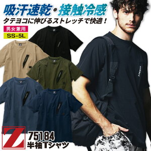 d Z-DRAGON t Xgb`  TVc z  ڐG⊴ Y fB[X  JWA ƕ ƒ W[hS 傫TCY [lR|X] jd-75184-b