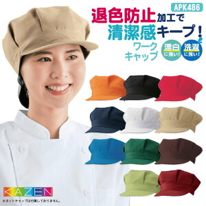 yԌ10%OFFzKAZEN J[ [NLbv ωf ސFh~ ɋ |GXe100 T[rX JtF H ~[ HiH [lR|X] kz-apk486-c4