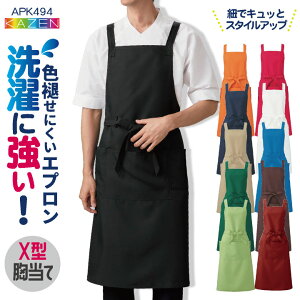 KAZEN J[ ăGv X^ Ђt ωf ސFh~ ɋ |GXe100 T[rX JtF H ~[ ۈm m [lR|X] kz-apk494-c4