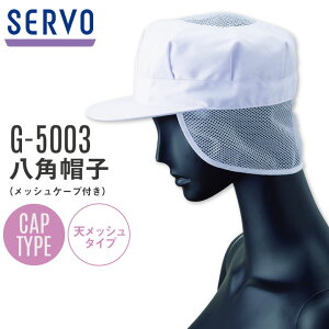 [o] T[H TybNX pXq bVP[vt qXq G-5003 q  HiH jtH[ SUNPEX SERVO [lR|X] sv-g5003