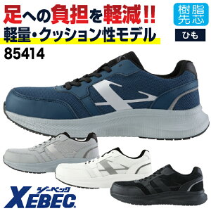 W[xbN Z[teB[V[Y c Ђ Y fB[X SC ƌC Xj[J[ V[Y Ɨp y y ˍ  t H~ lCr[ O[ zCg ubN  